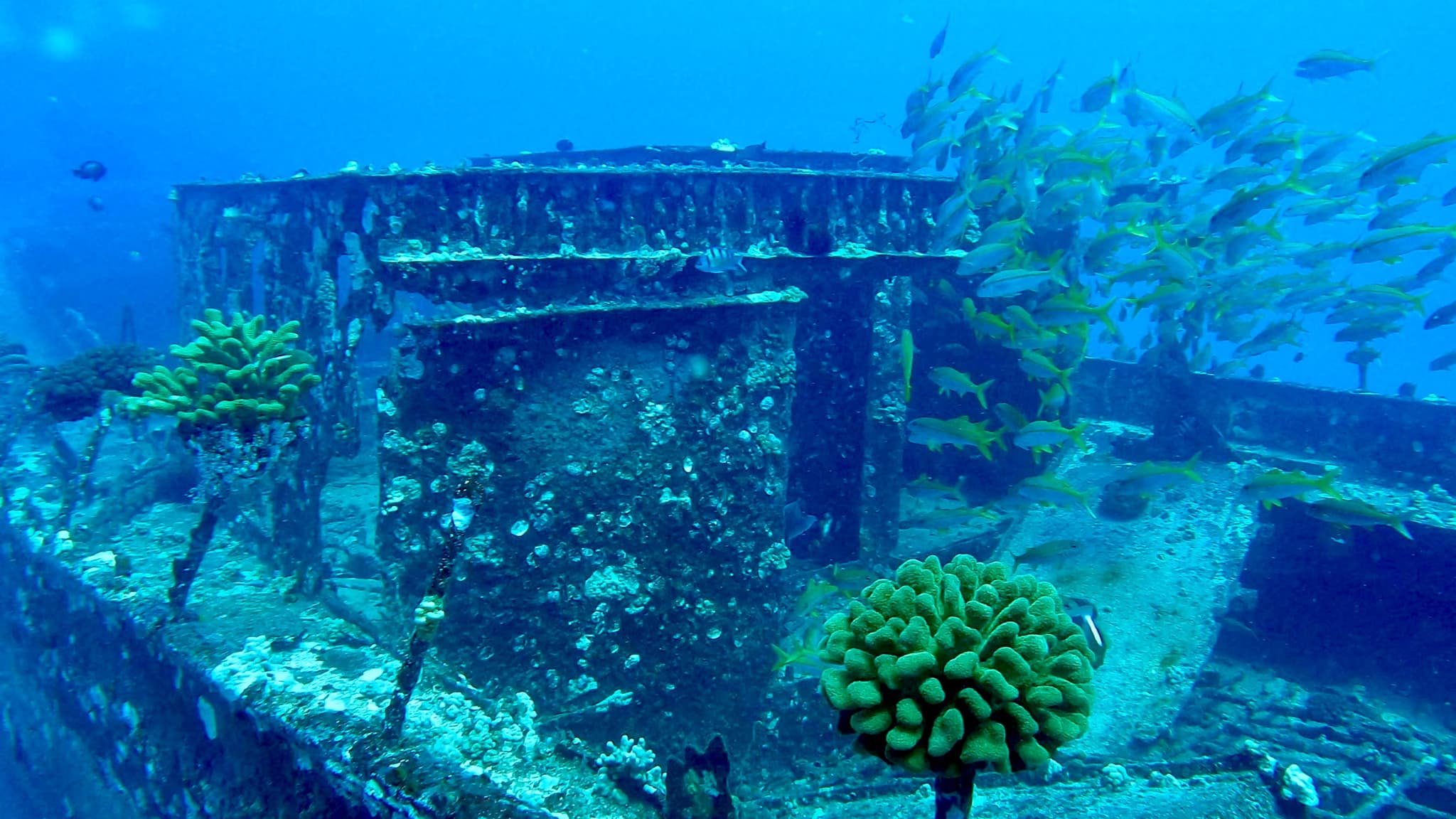 SCUBA Maui: 3 Tank Wrecks and Reefs *Private Charter*