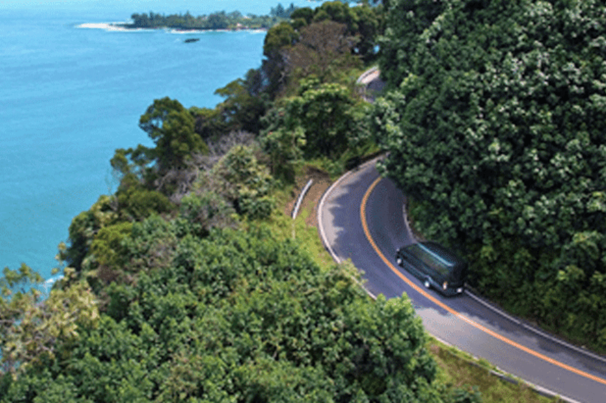 Small Group Full Day Road to Hana Adventure