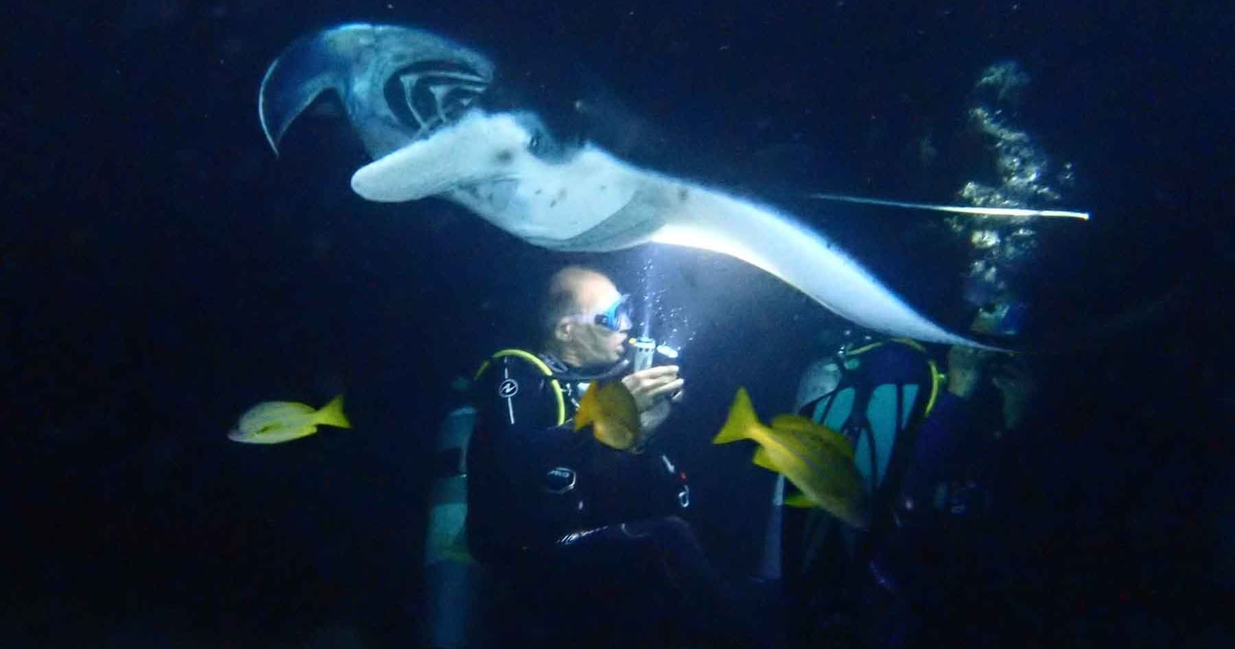 2 Tank Night Manta Dive Charter