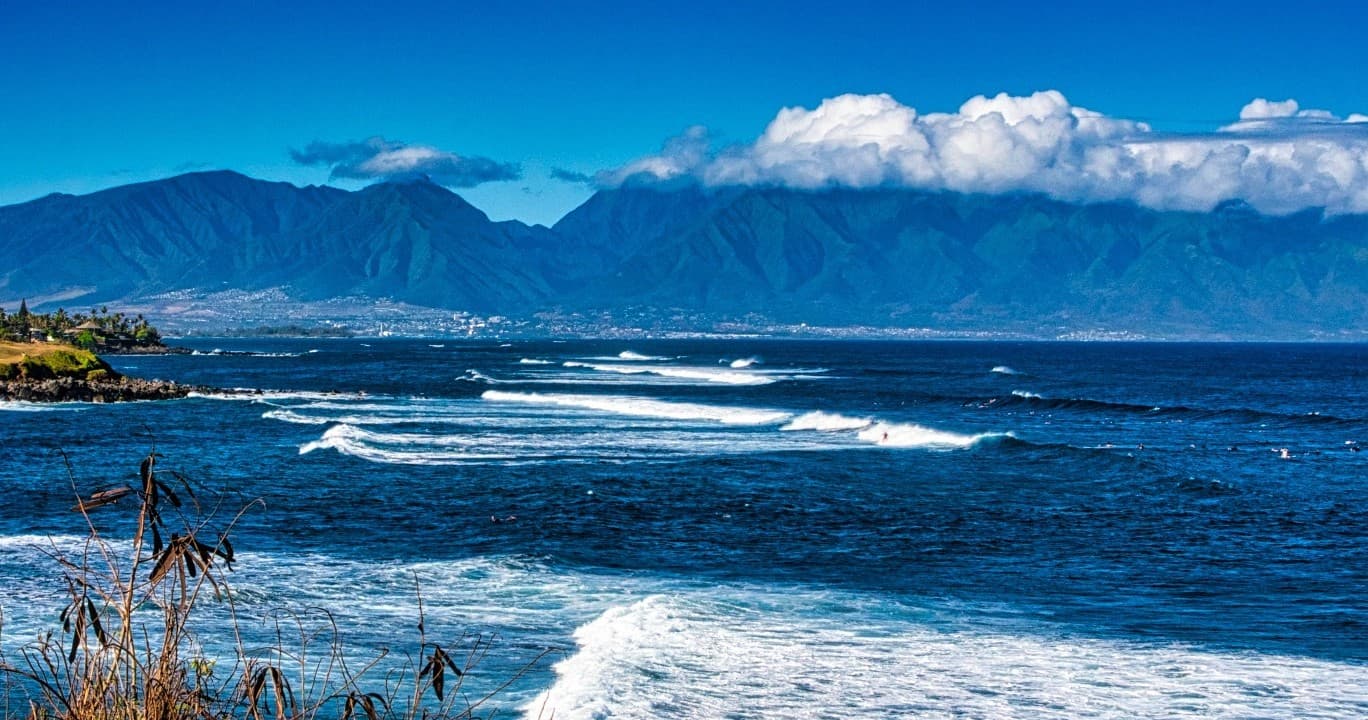 Private Upcountry Maui VIP Sunset Tour - Large Group - Half Day