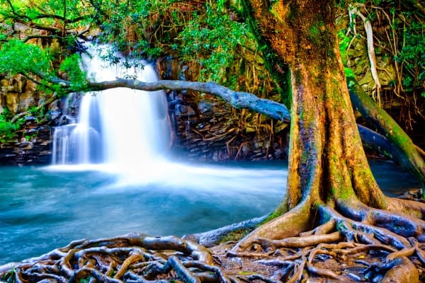 Road to Hana Group Tour - Full Day