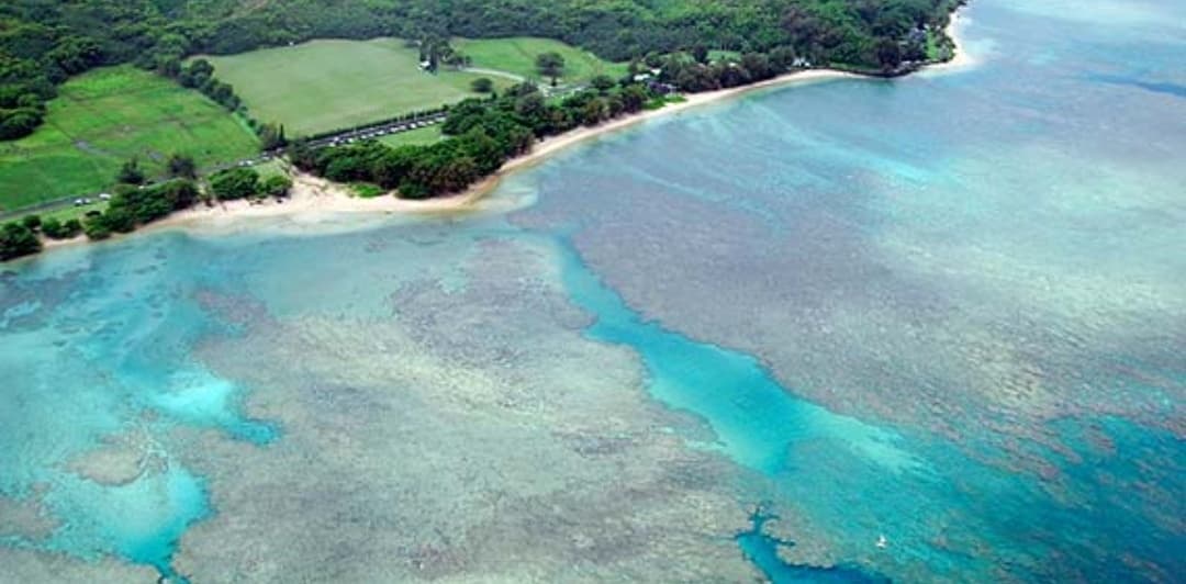 Anini Beach Kauai 4 Hour Kayak Rentals
