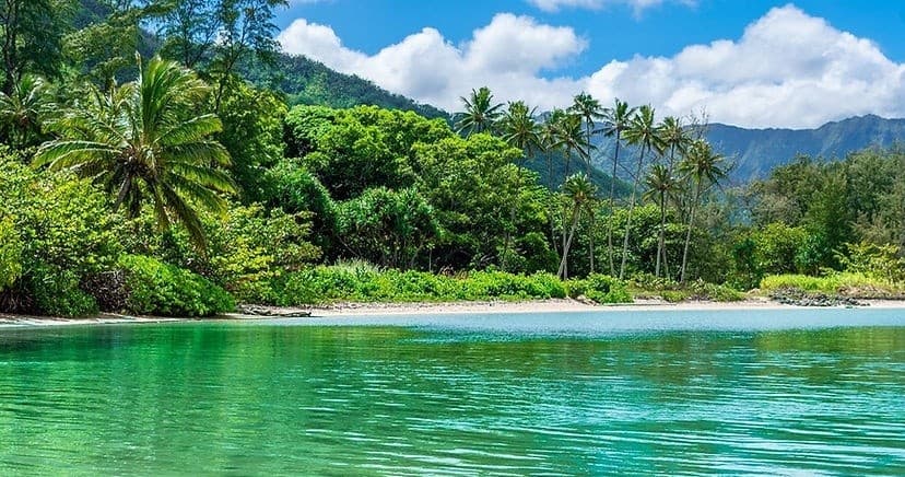 Kayak & SUP - 3 Hour Rentals