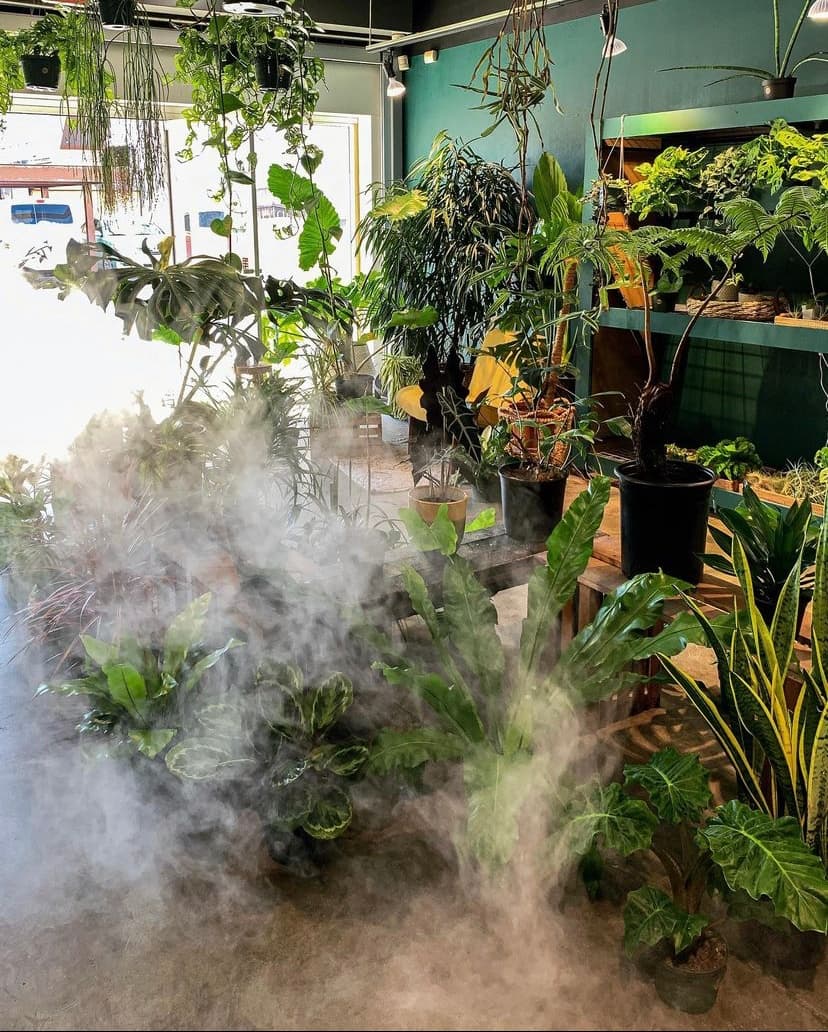 Jungle Yoga & Sound Bath at Plantoem