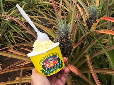 North Shore Foodie Fun: Eat, Explore, Enjoy