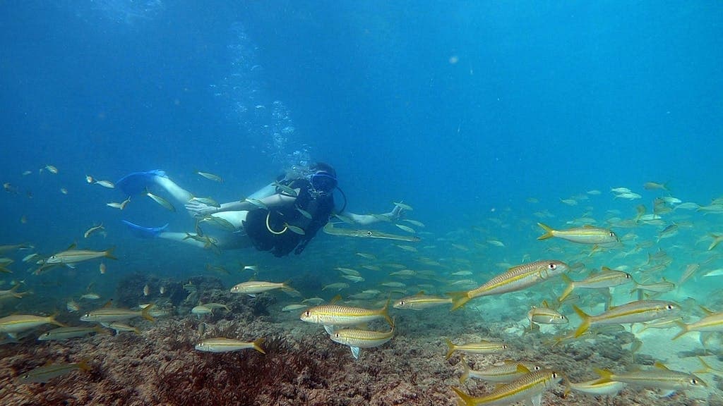 Private Try Scuba Diving Tour- Honolulu