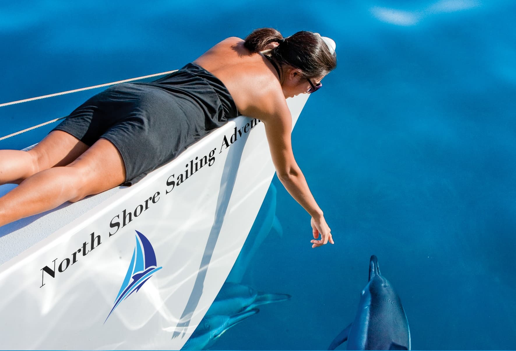 Dolphin Watching Adventure