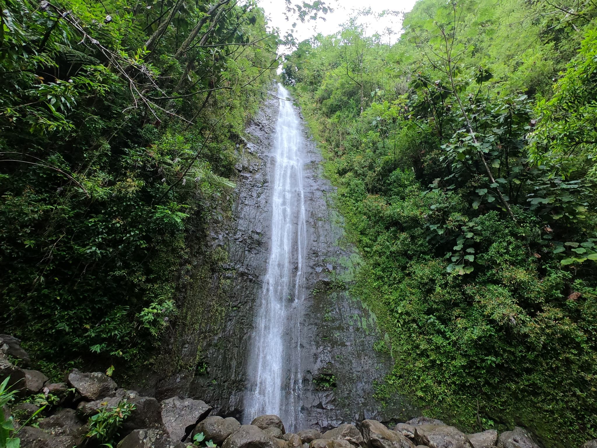 Hawaiian Waterfall Hike