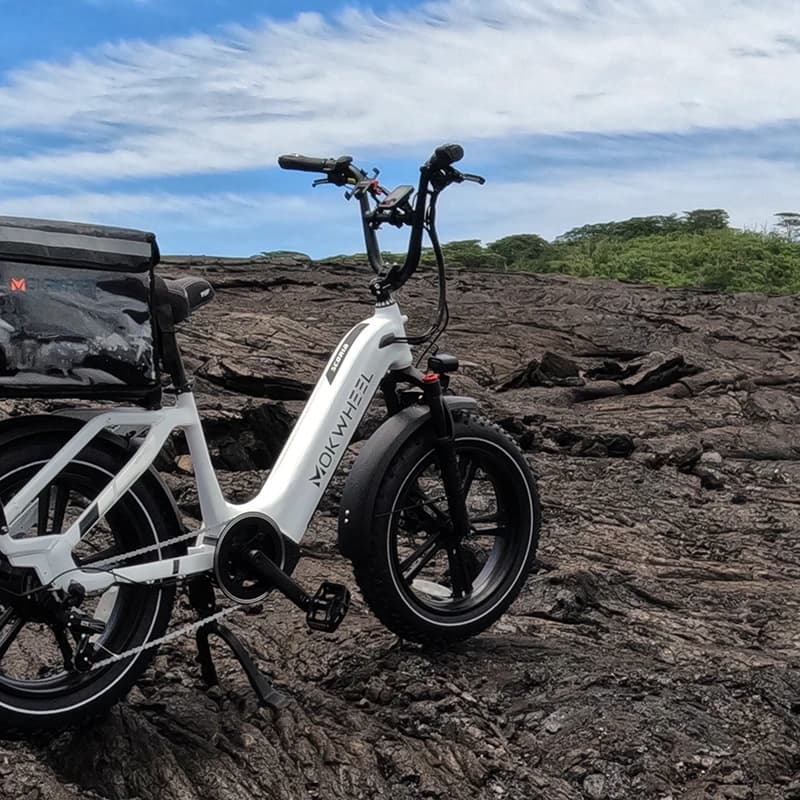 E-Bike Puna Lava Tour
