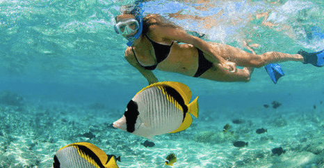 Snorkel Gear Rental
