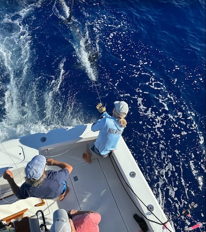 8 Hour Fishing Escape 40' Cabo