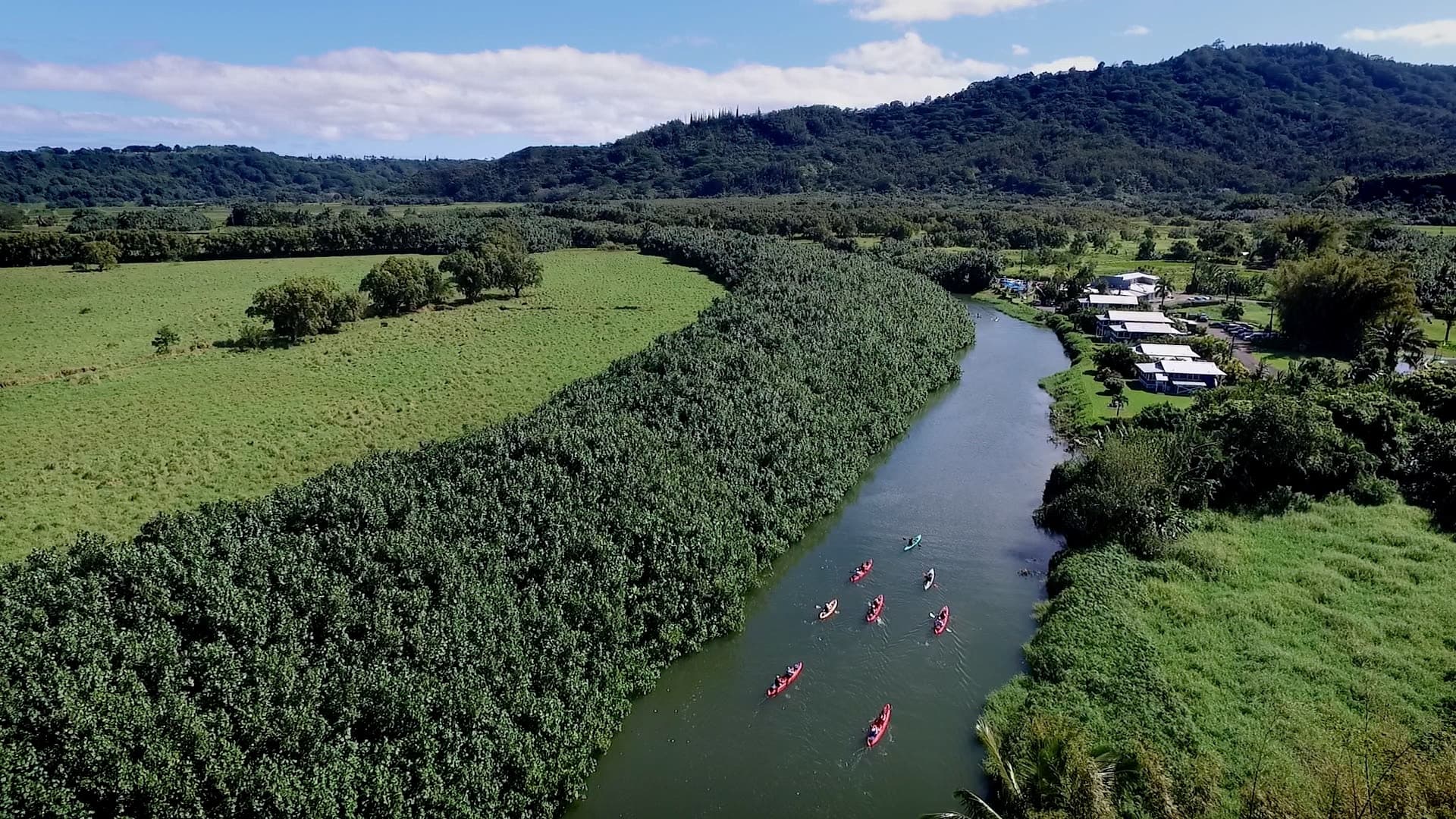 10AM Morning Bay Explorer