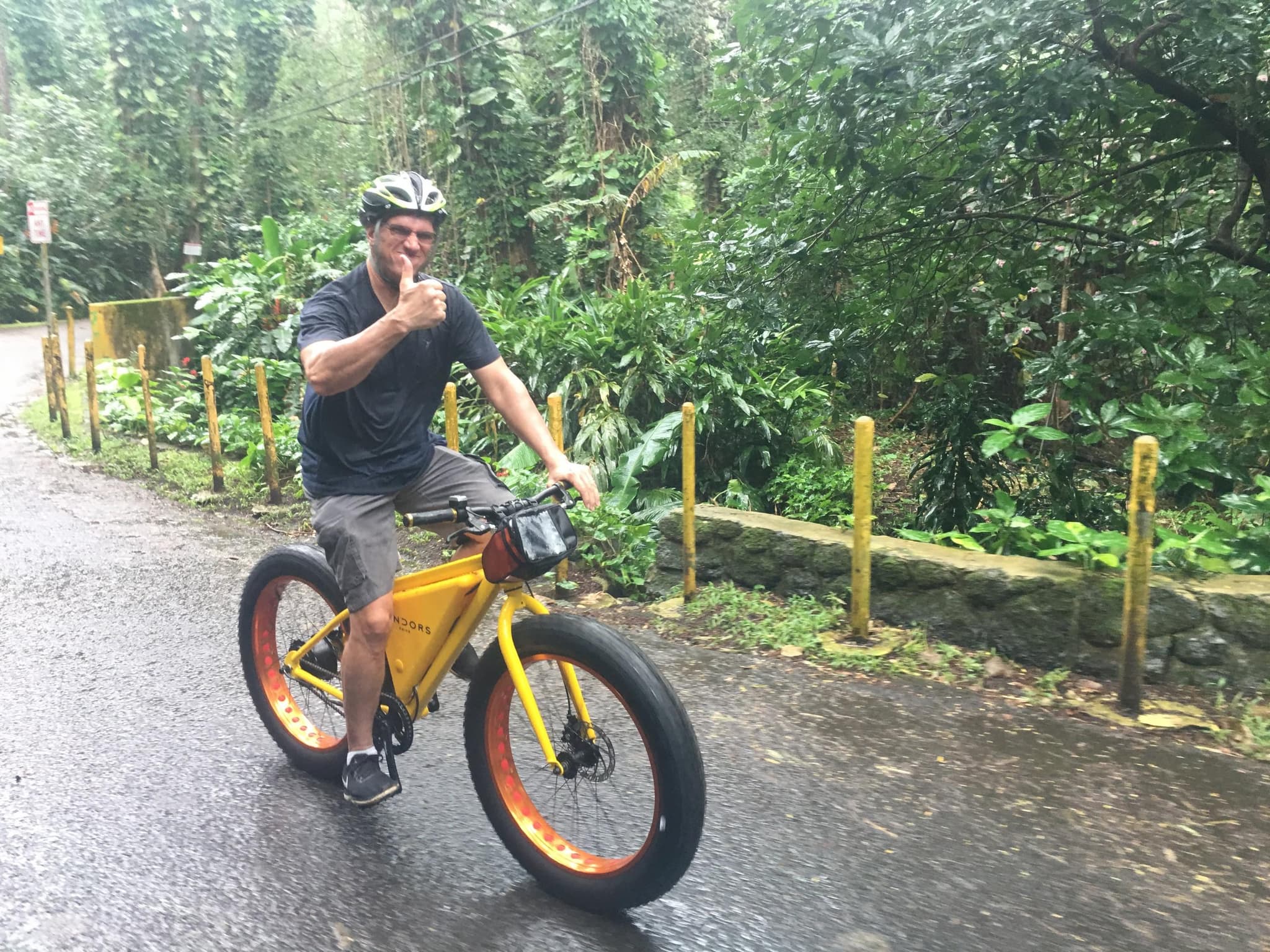 Manoa Falls Electric Bike to Hike
