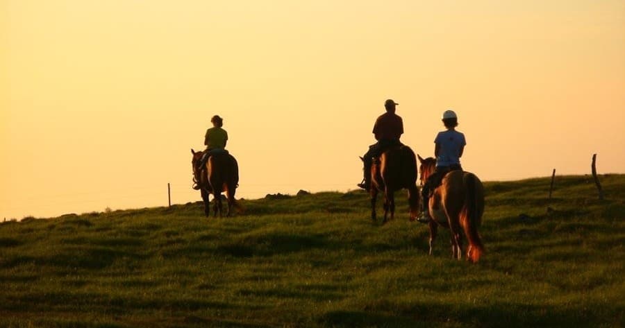 🌞PRIVATE Sunset Ride