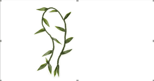 Wedding Leis & Flowers