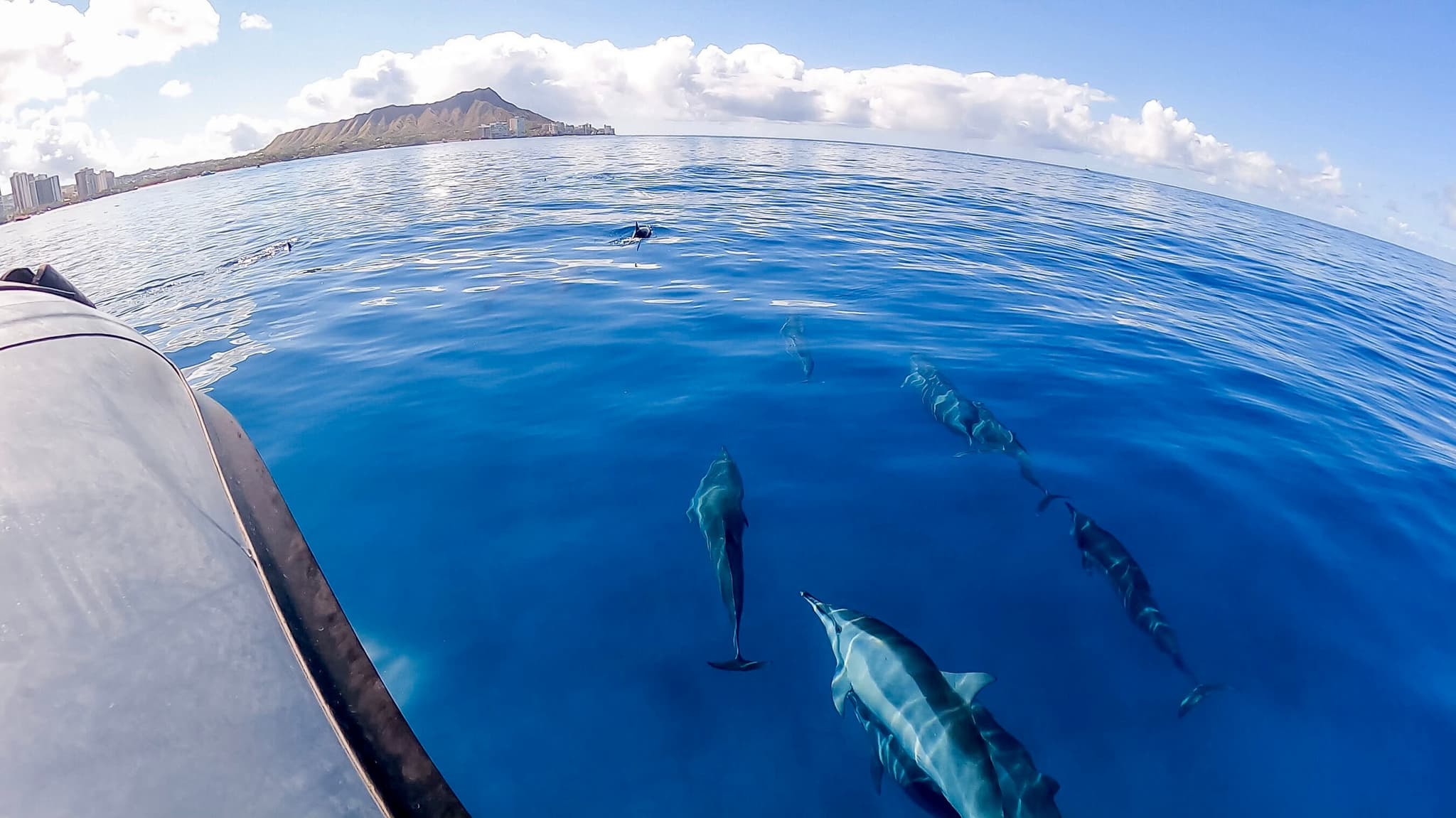 Private Waikiki Boat Tour