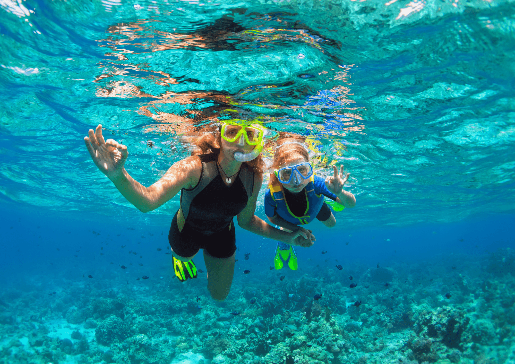 Gear Rental with Honolulu Snorkel
