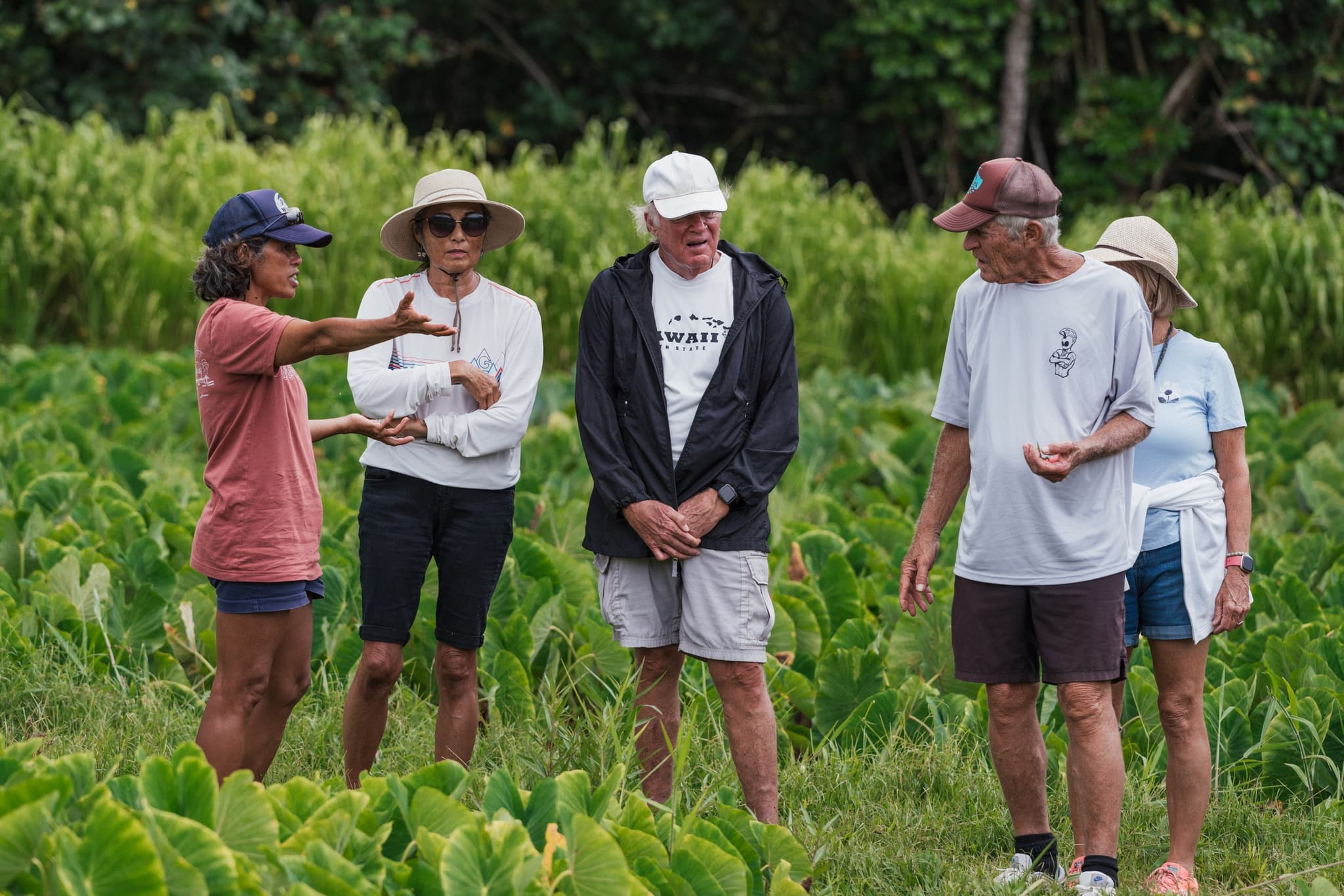 THURSDAYS | Introduction to the Ahupua’a, it’s Food Systems and Waterways