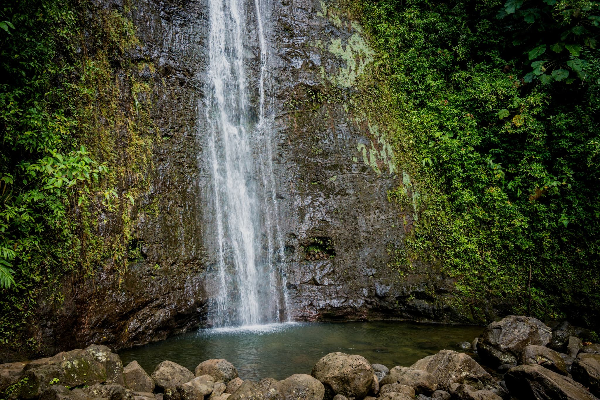 Manoa Falls Bike And Hike