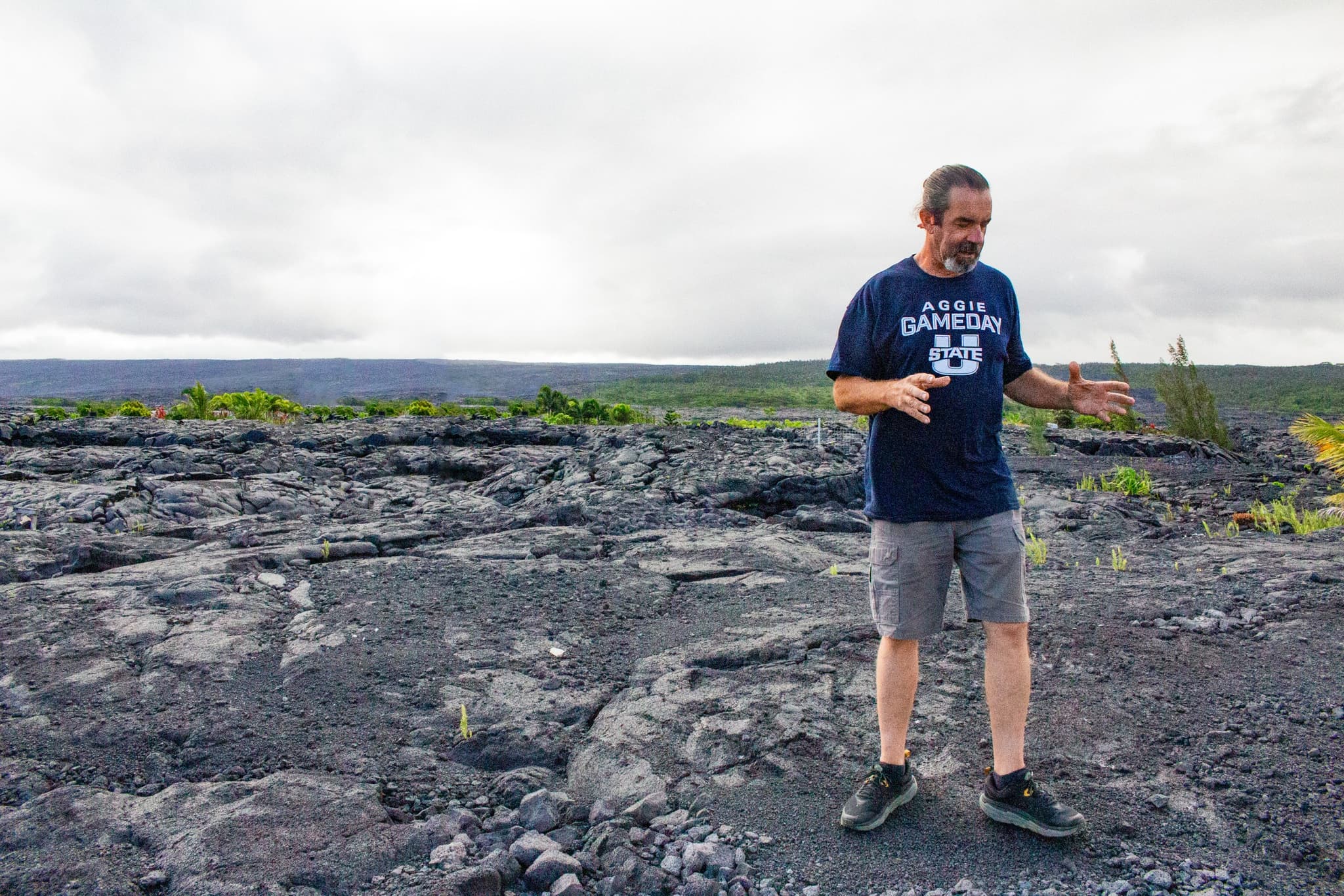 Private Custom Van Full Day Guided Tour - Big Island of Hawaii