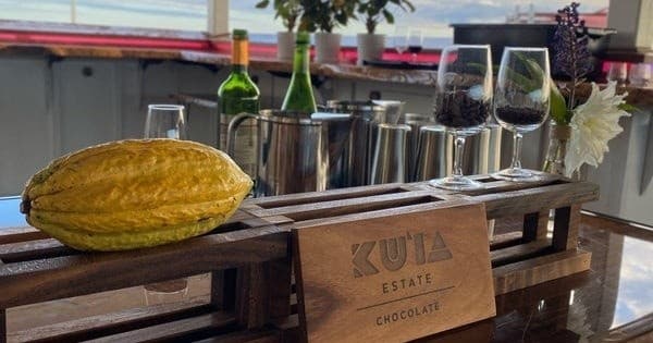 Chocolate Factory Experience