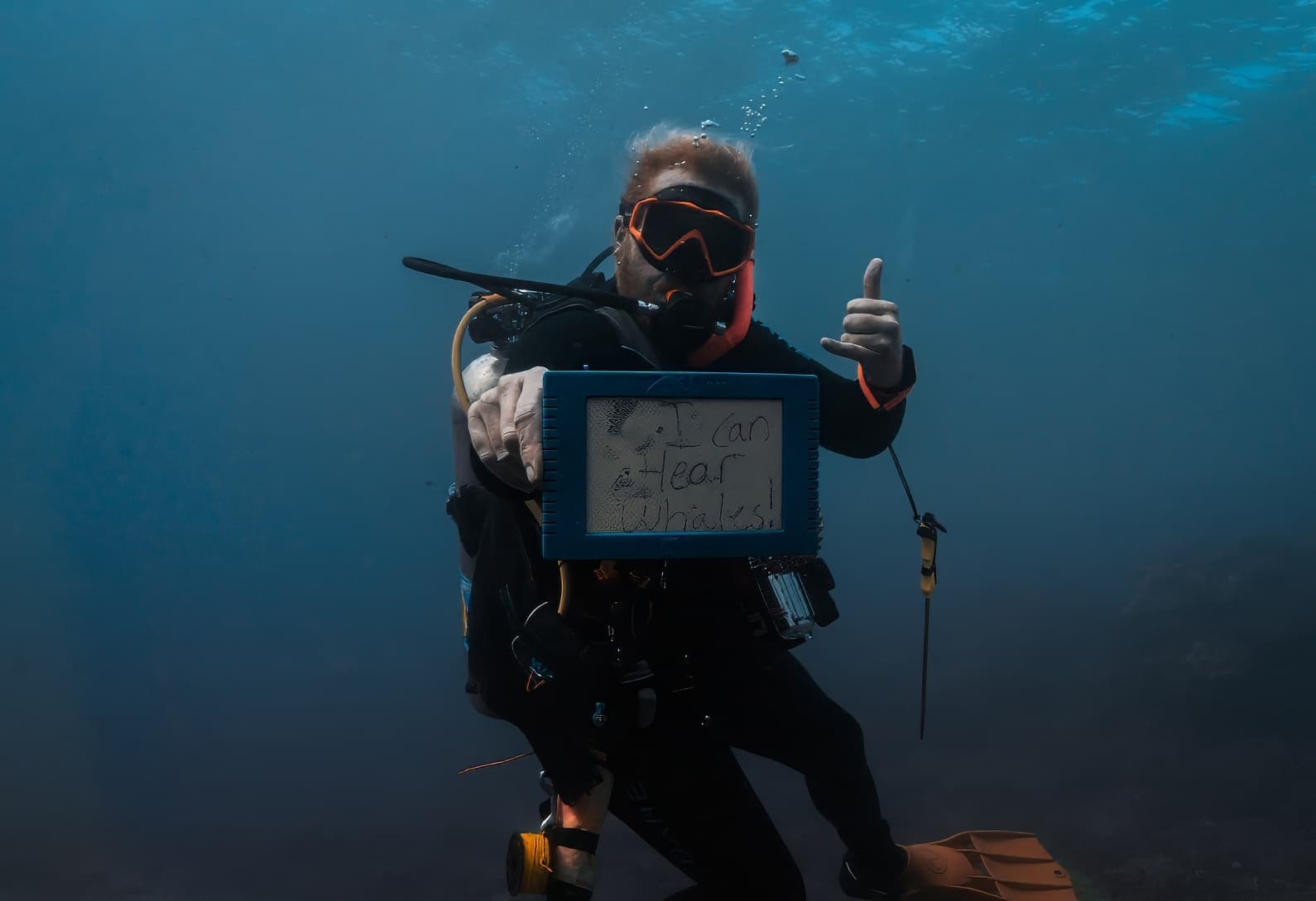 Nii hau 3-Tank Boat Dive