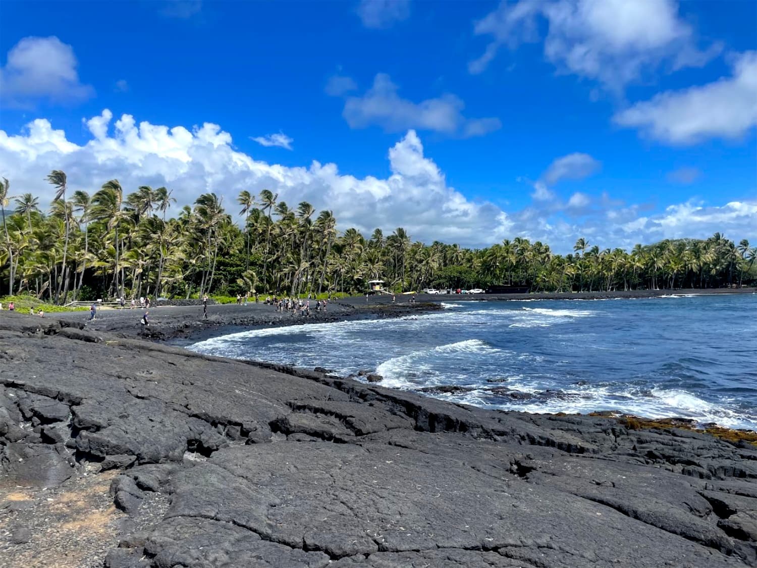 Big Island Day Tour w/ Lunch