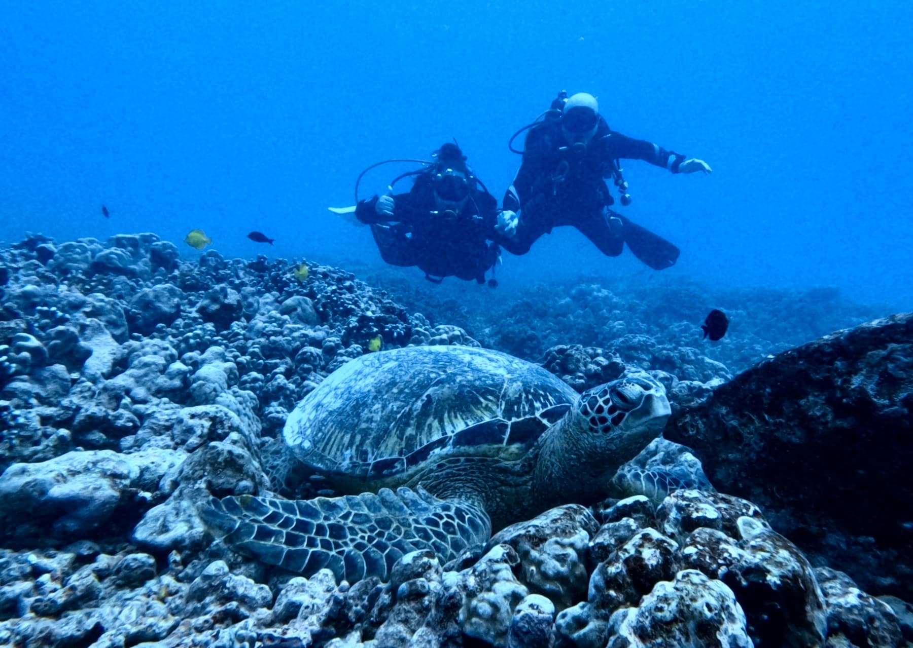 Two Tank 7 AM Charter