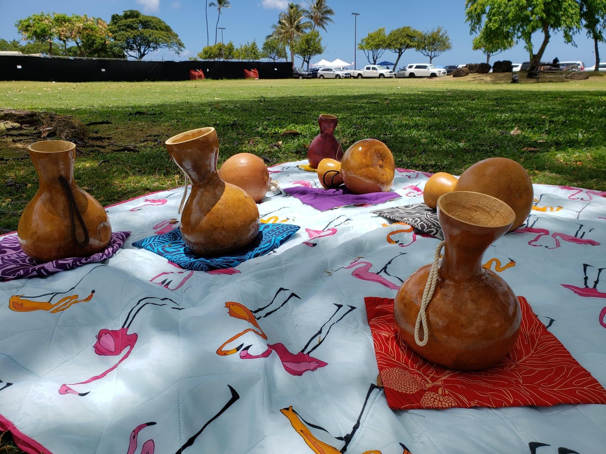 Palena Management Practices & Hawaiian Culture- In-person or ONLINE