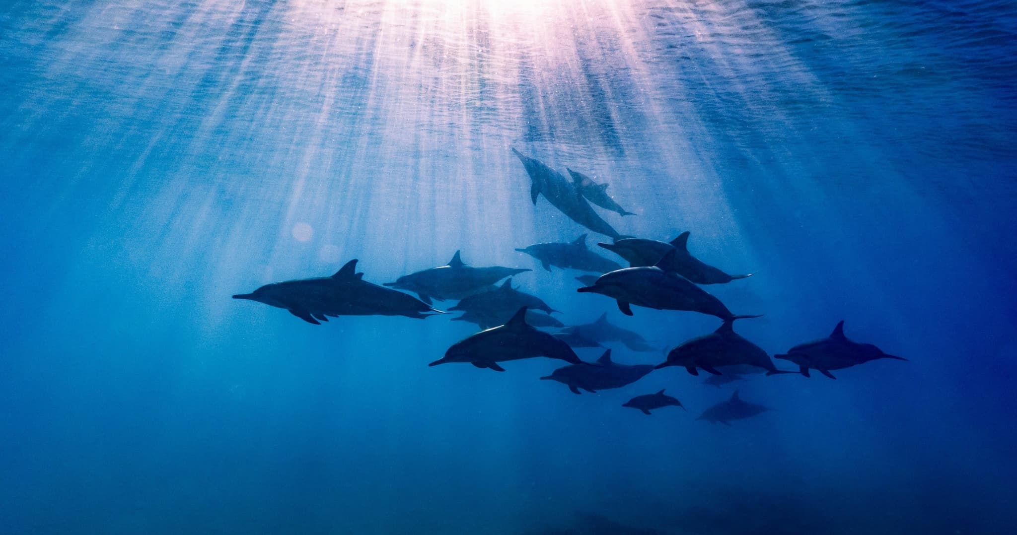 2 Hour Cruise | 1-6 Guests