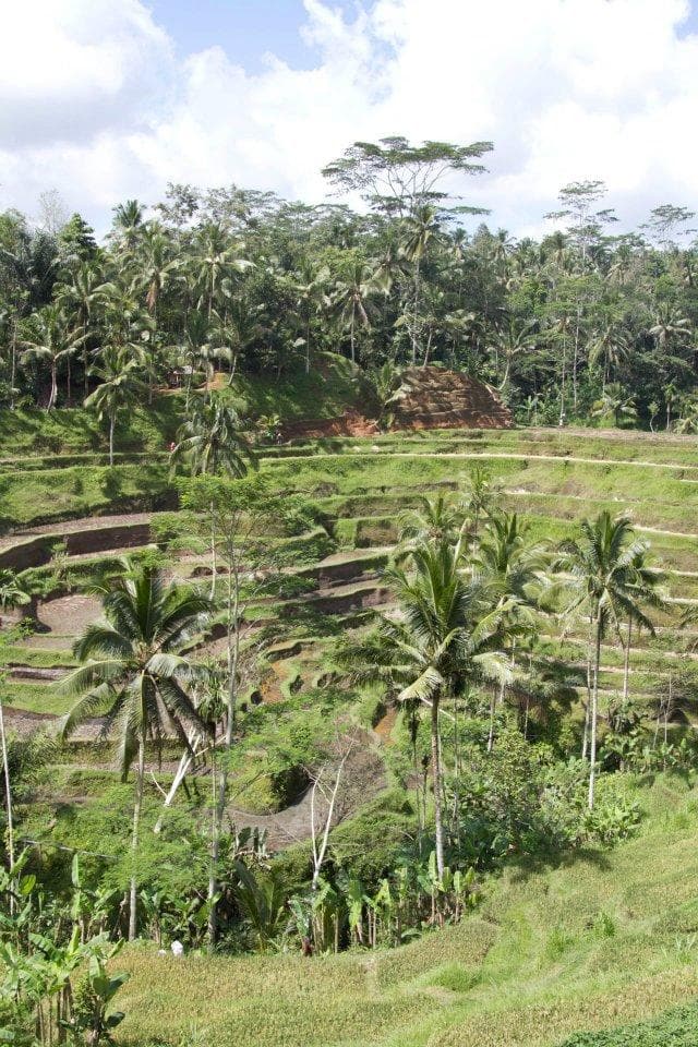Billabong Girls Bali Surf Trip