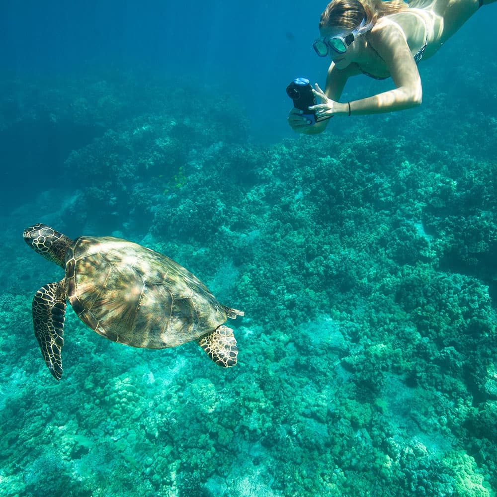 Kona Snorkeling Adventure Open Charter