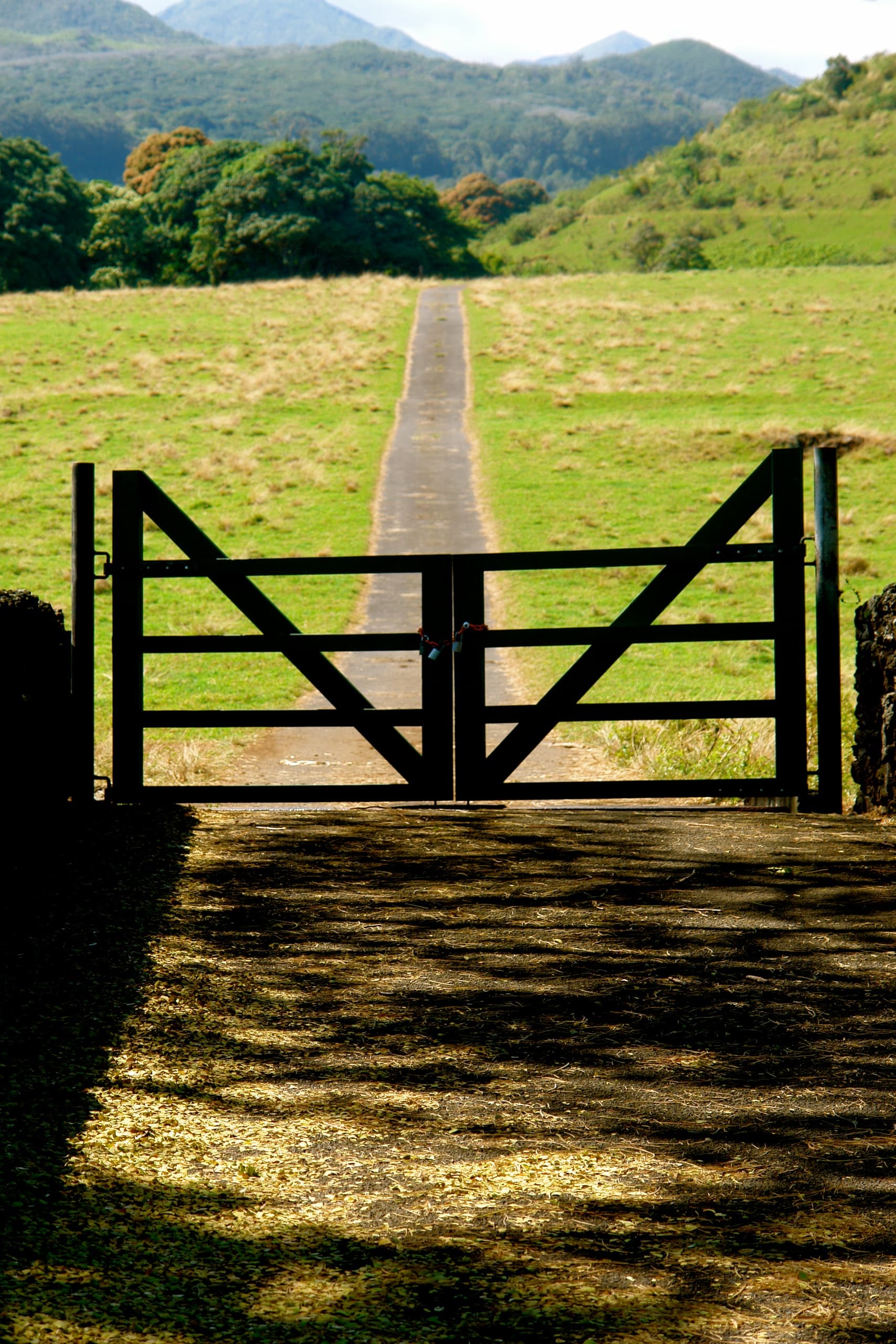 Spotkanie z delfinami - Sea Life Park
