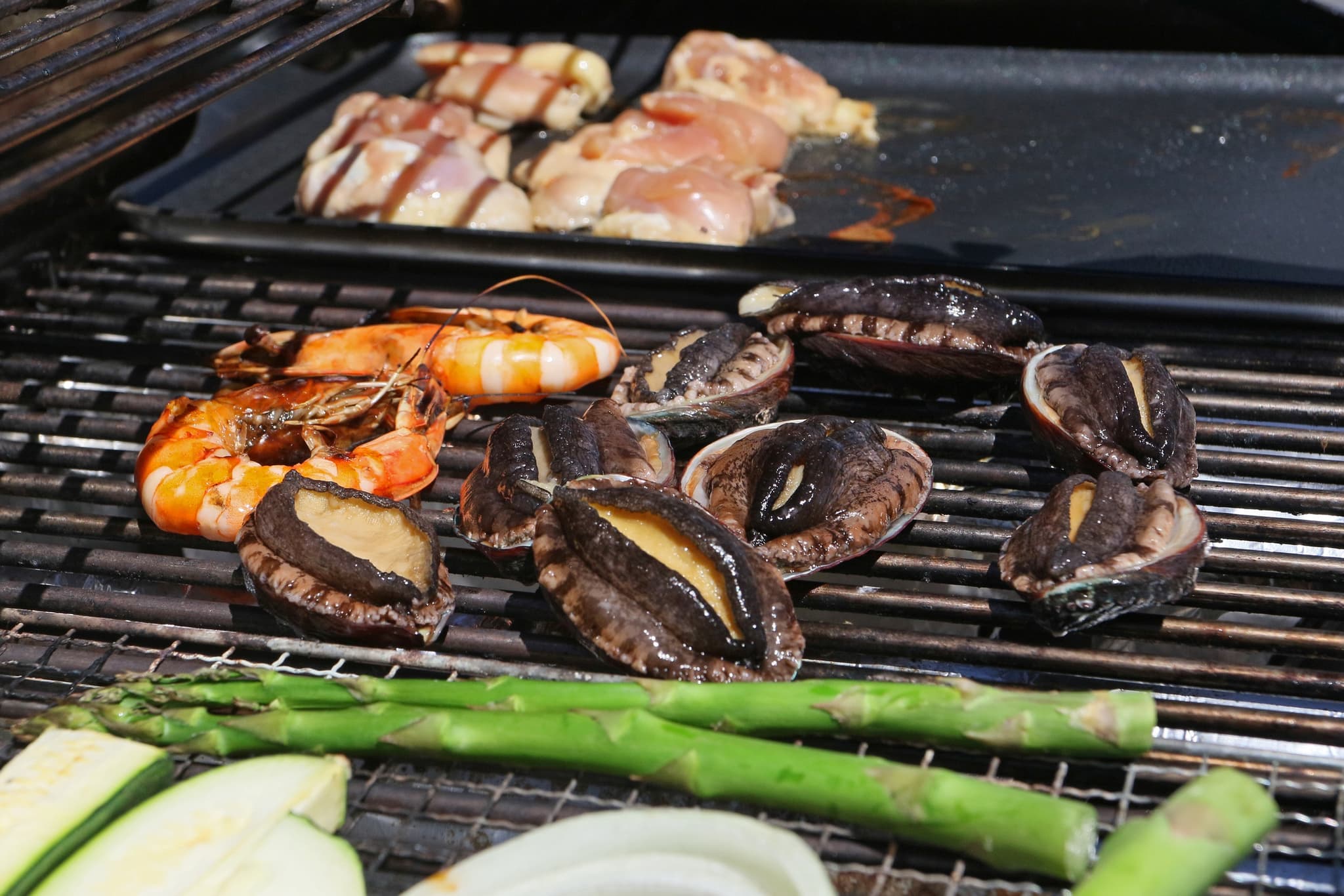 Farm Tour + DIY BBQ package