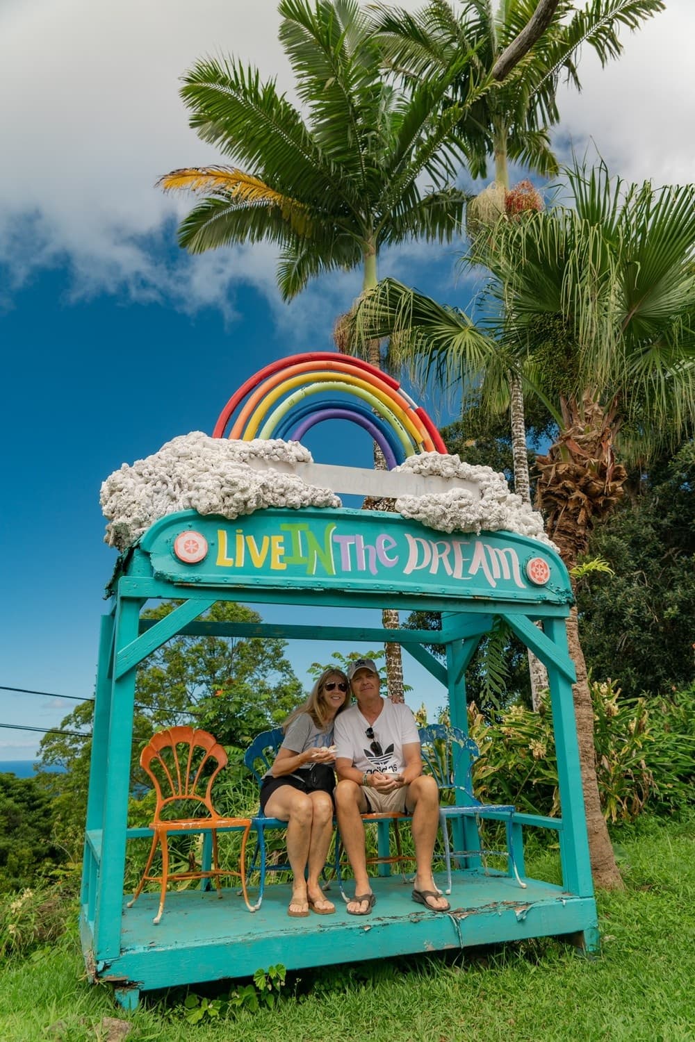 1/2 Day VIP Private Road to Hana Tour with Pick Up