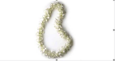 Wedding Leis & Flowers