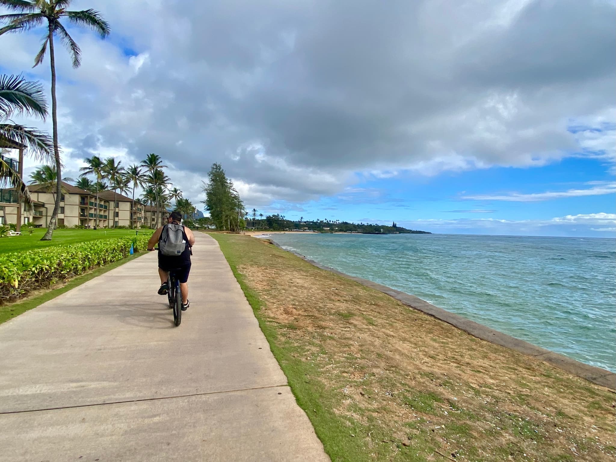 Chiken run, Hike & Bike