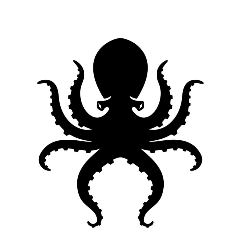 Epic Kauai Boat Dives