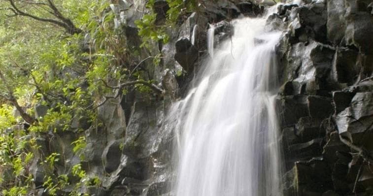 Kayak, Snorkel & Waterfall Combo Tour