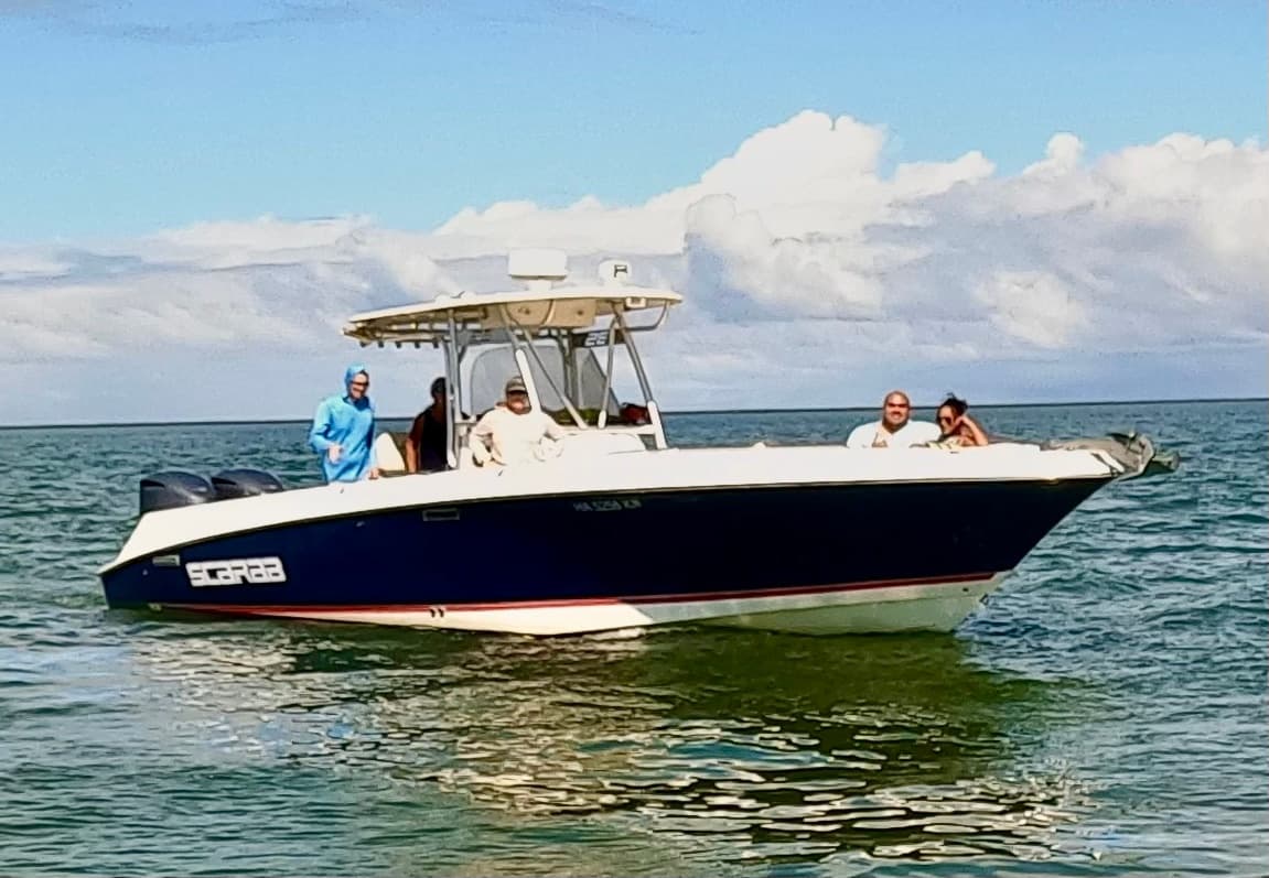 Boat Snorkel - Tropical Reef & Wildlife Adventure