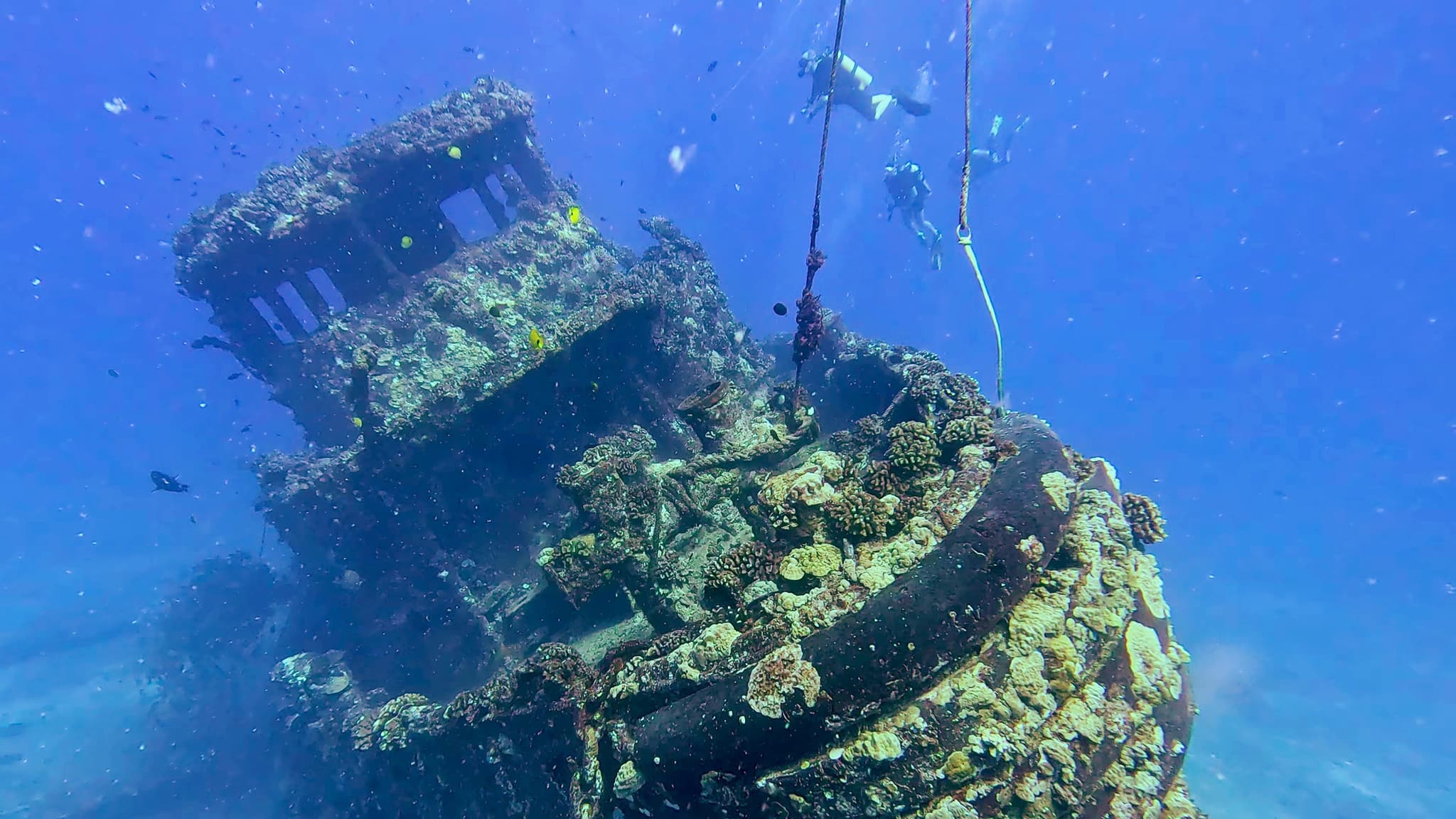 Scuba Dive - Navy Tug