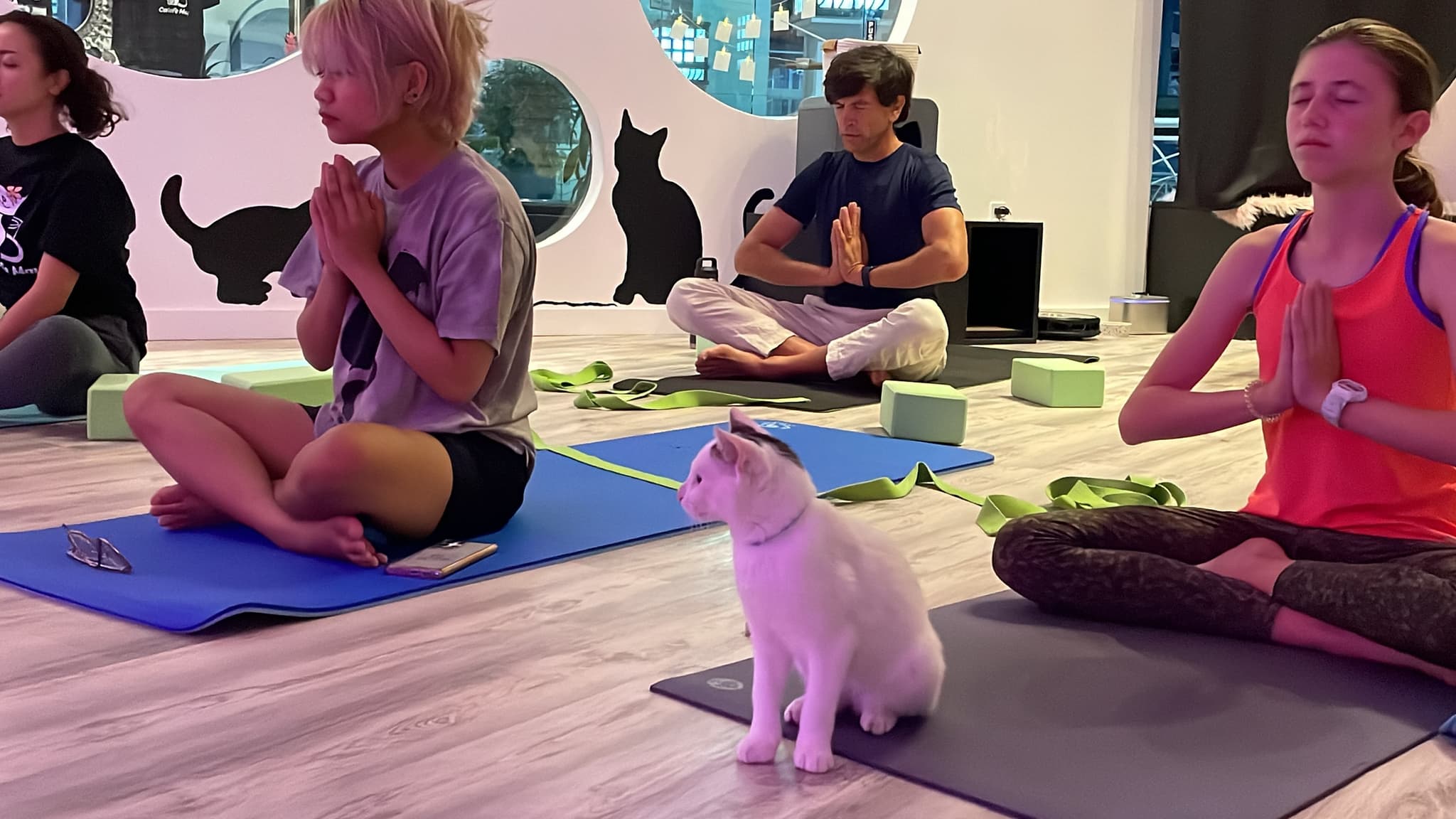 Restorative Cat Yoga