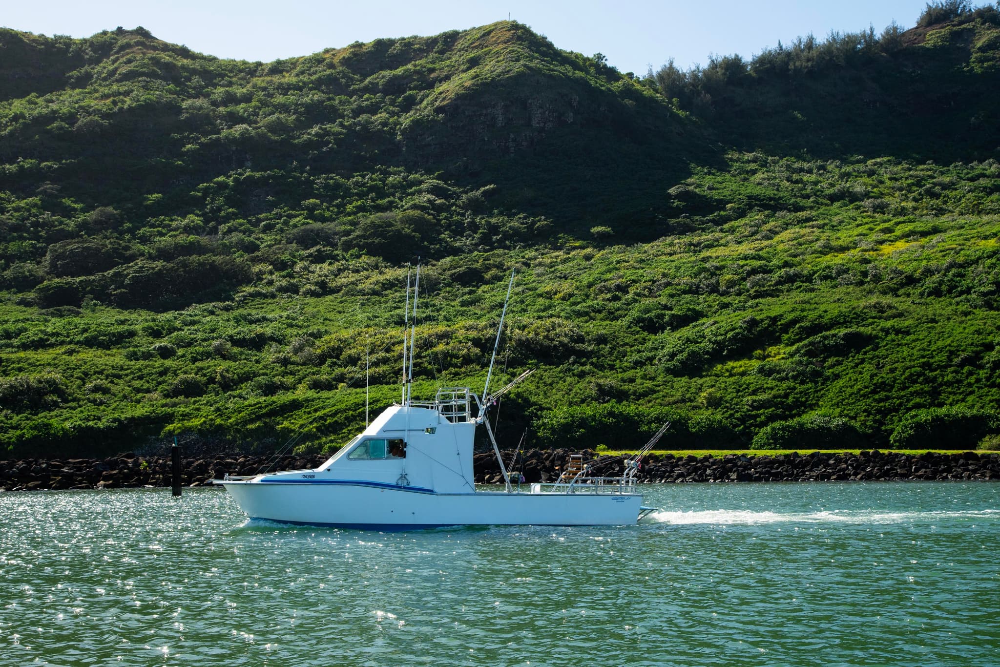 Four Hour Shared Charter