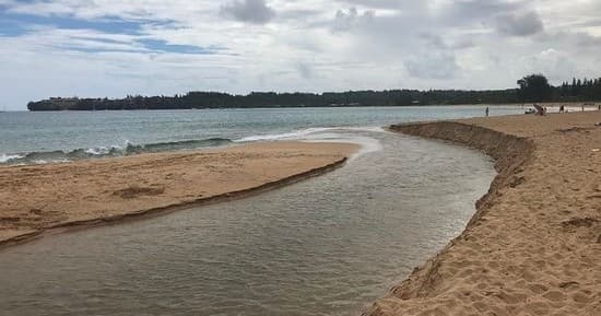 Semi-Private Surf Lesson