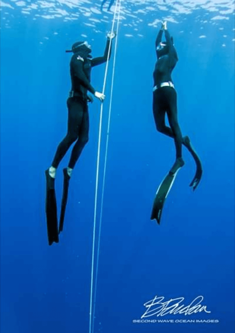 Fii Freediving Course