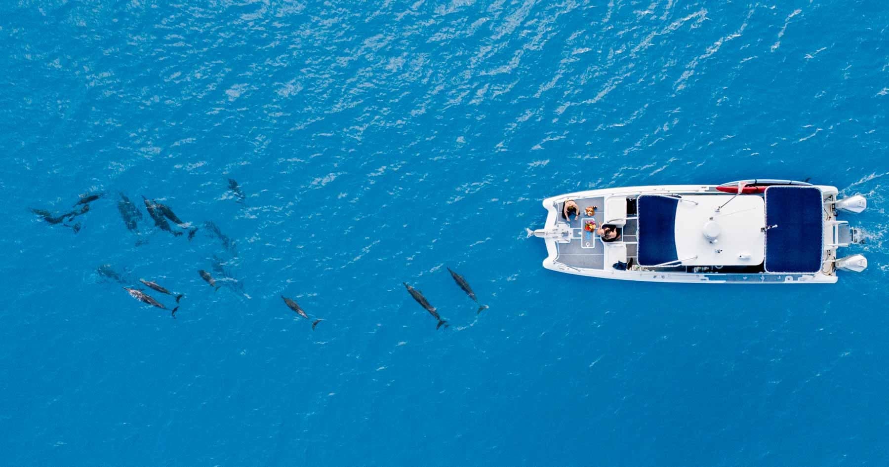 Premium Advanced 2 Tank Long Range Charter