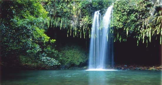 Waterfalls, Flower Farm &  Goat 🐐 Farm Tours