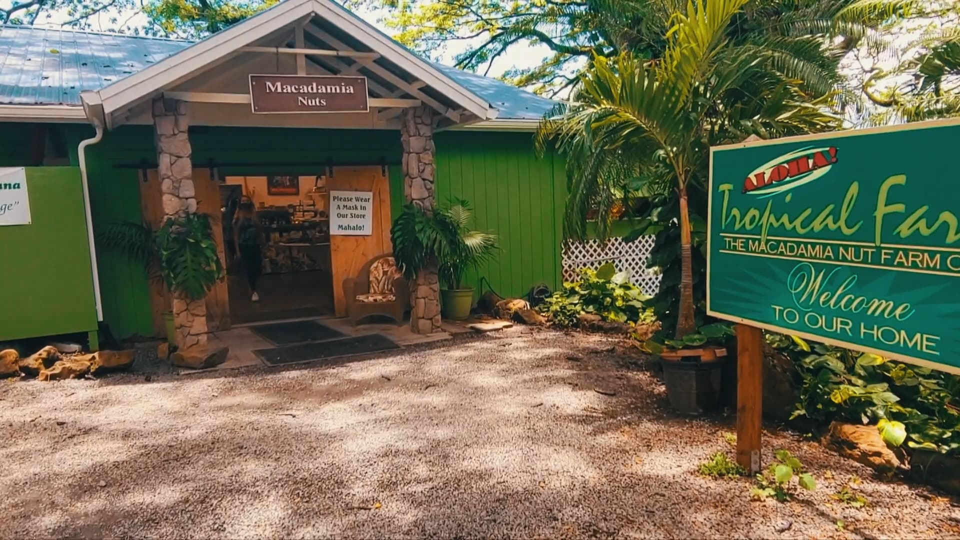 Private Circle Island  Sightseeing & Food Tour