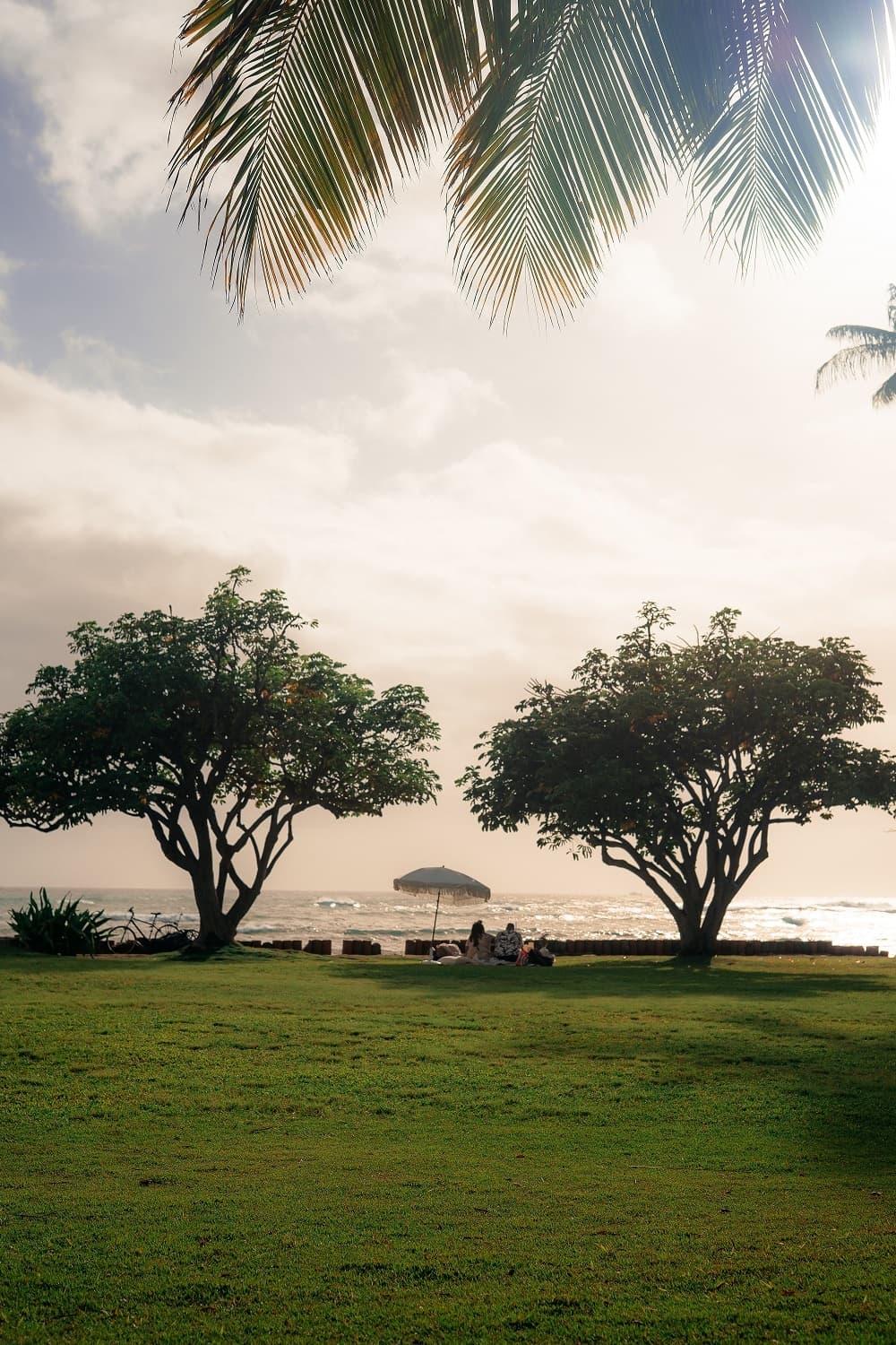 Luxury Beach Picnic : Two Guests