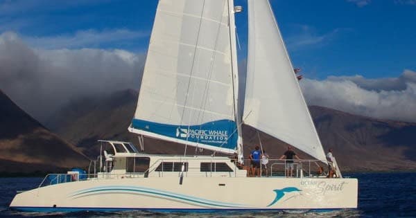 Whalewatch Sail Deluxe • Ma'alaea
